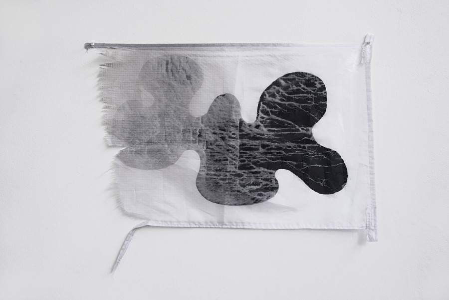 Marcel Dinahet - Dessins et drapeaux